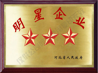 六安明星企业