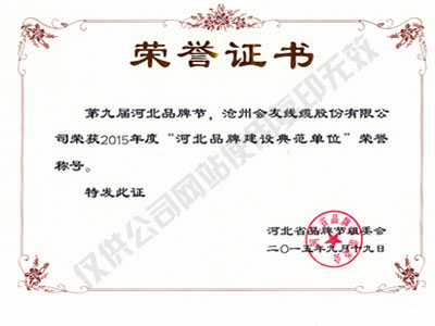 滁州河北品牌建设典范单位